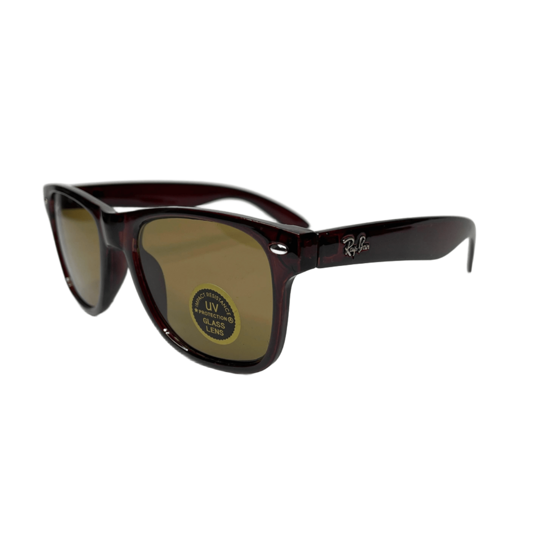 RB Wayfarer Classic ⚫🟤🟣
