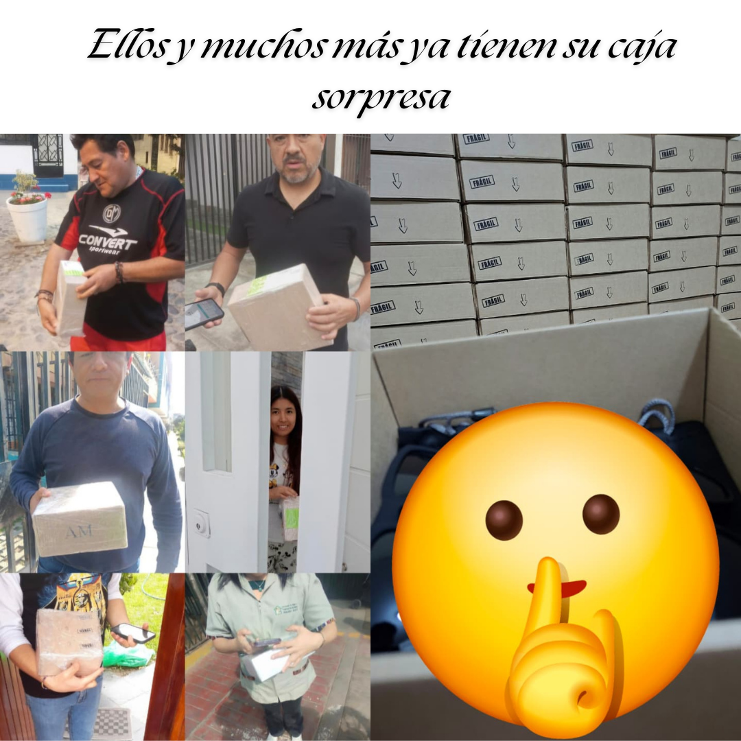 CAJA SORPRESA (promo navideña)🎁